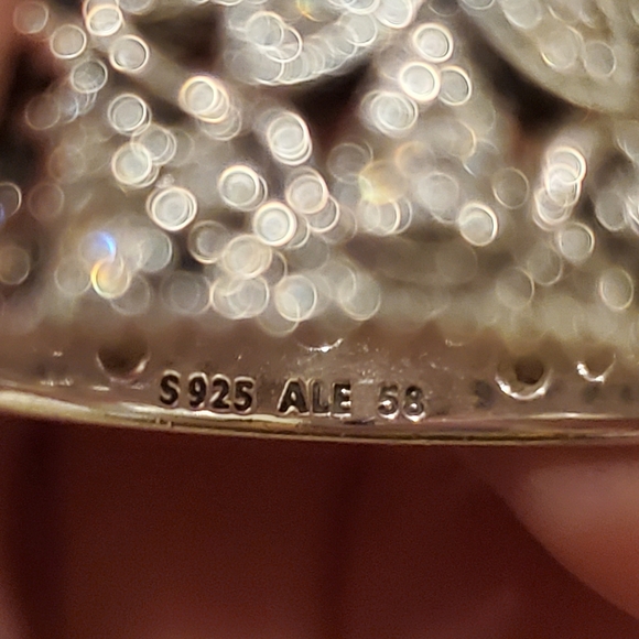 Pandora Ring Band - Picture 5 of 6